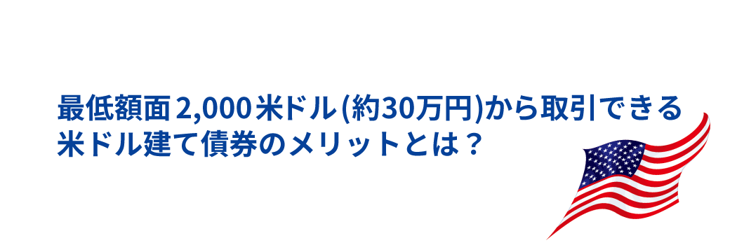 �Œ�z��2,000�ăh��(��30���~)�������ł���ăh�����č��̃����b�g�Ƃ́H